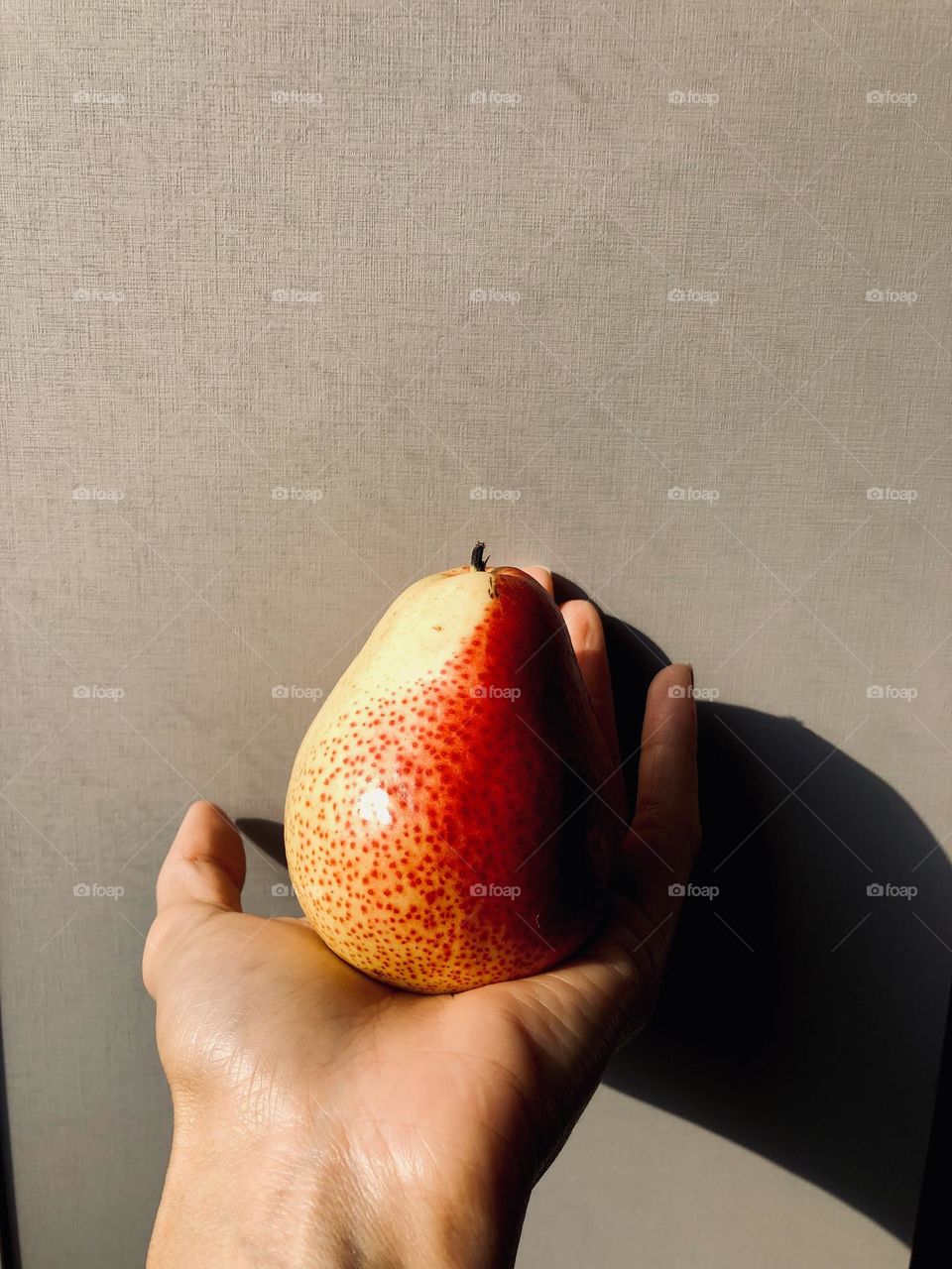 Hand holding a beautiful pear