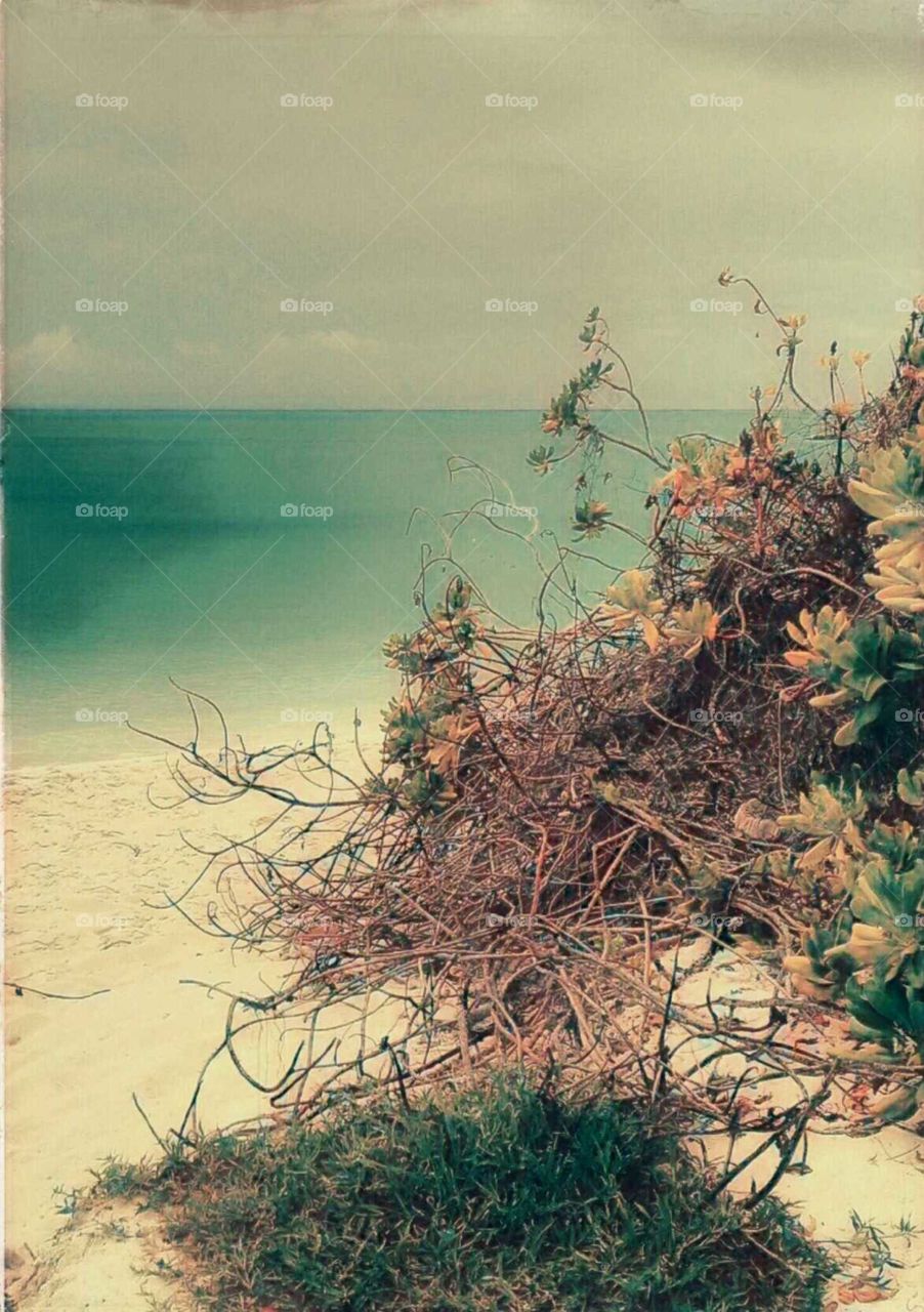 dreaming of a day at the beach