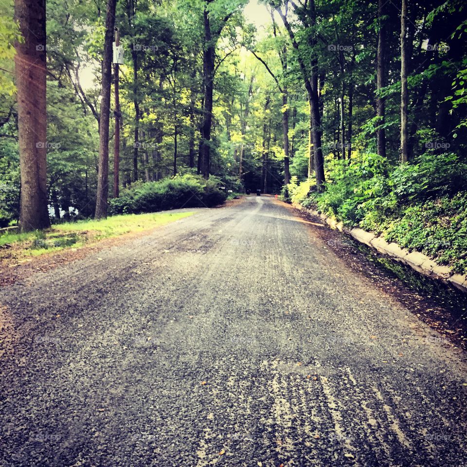 Strolling. Strolling along the path