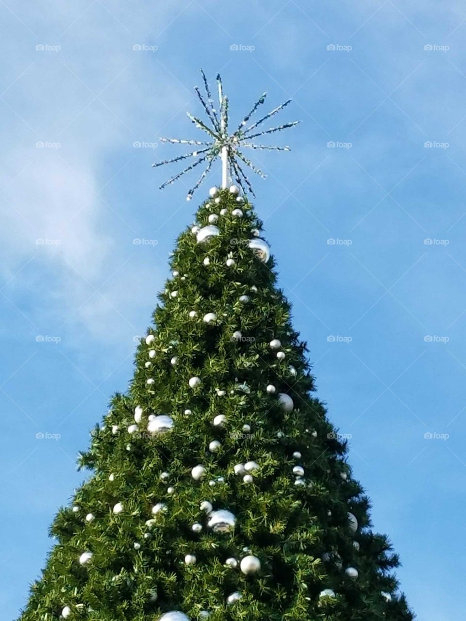 Shops at Legacy Christmas Tree Star