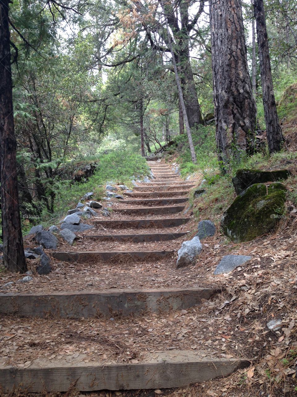 Steps to nature. Lewis Creek Trail, Nature, Hiking, Mother Nature, Beauty, the outdoors, California backyard 