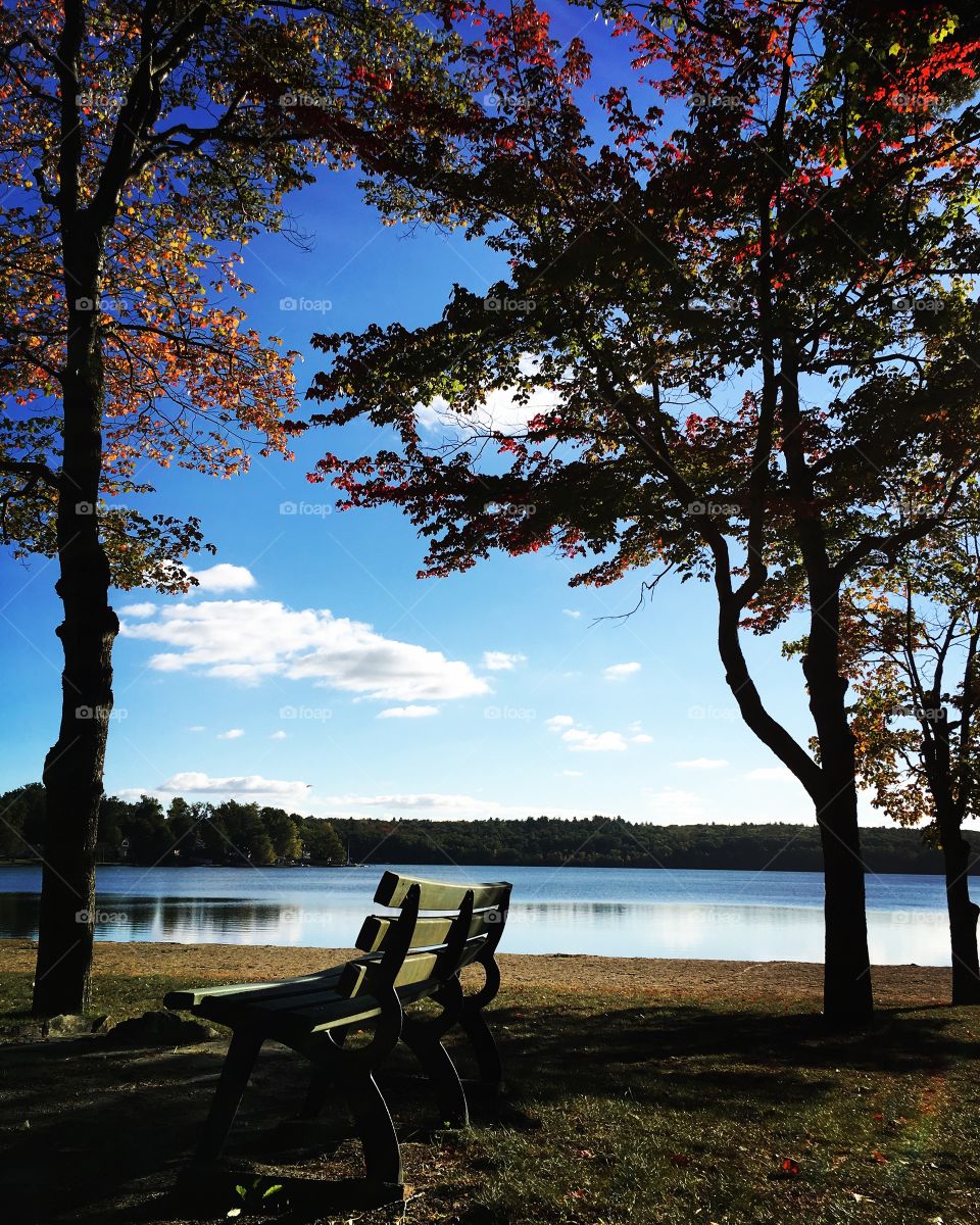 Park and water 