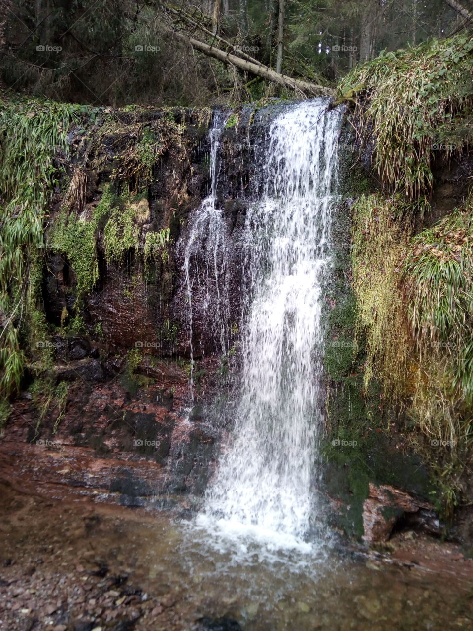 Wasserfall  in  Schwarzwald