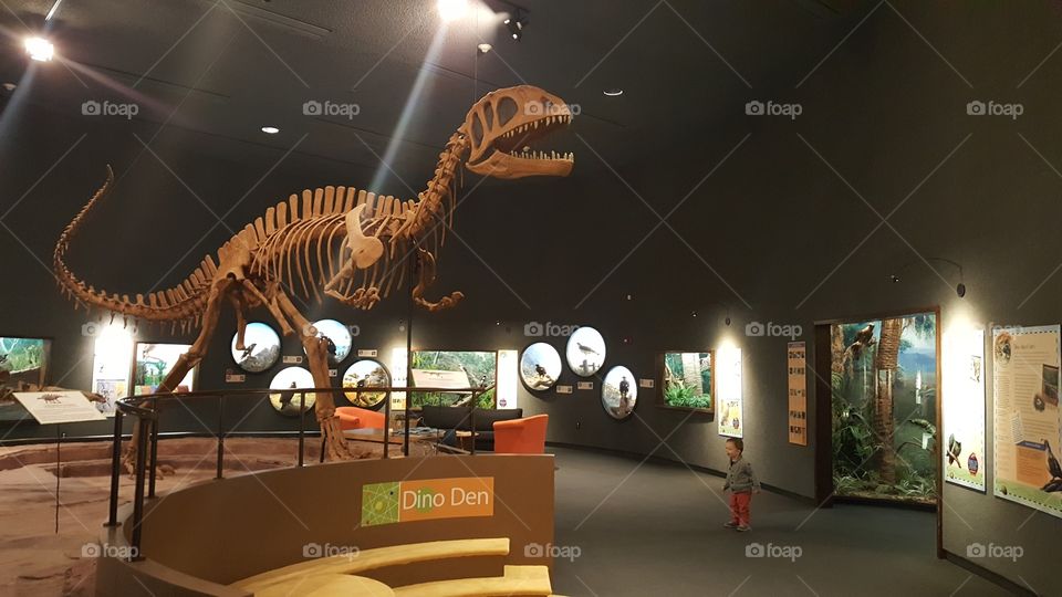 Delaware Natural History Museum