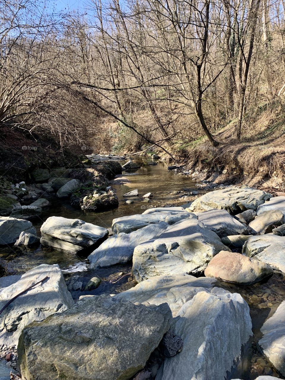 a ford on a stream in the Groane Regional Park, north of Milan