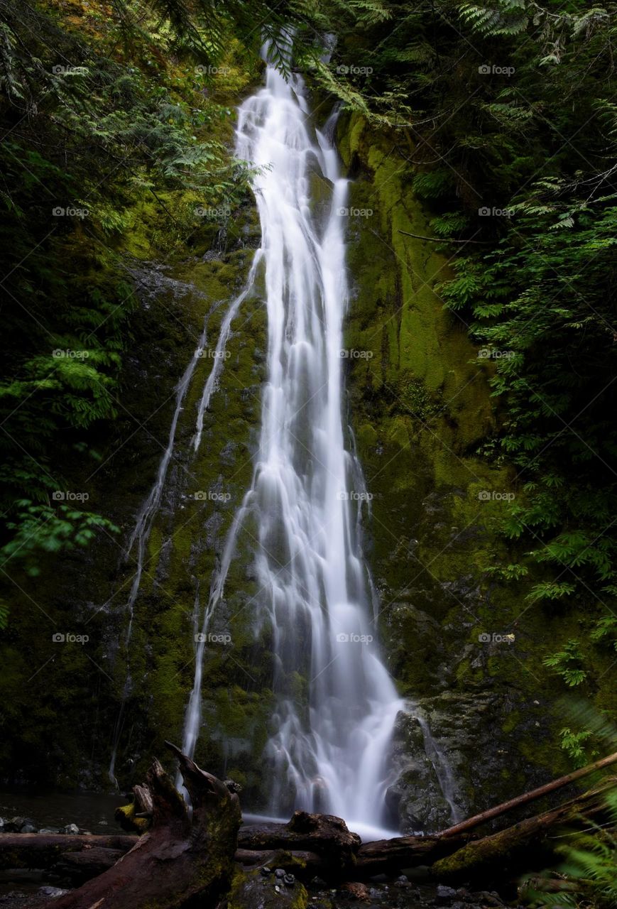 Falls in the primeval forest
