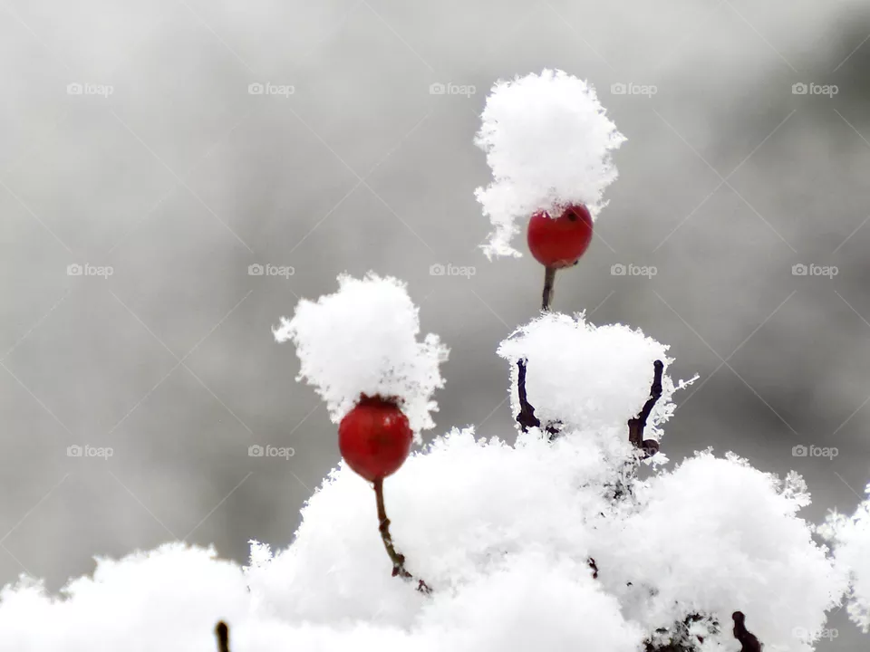 First snow