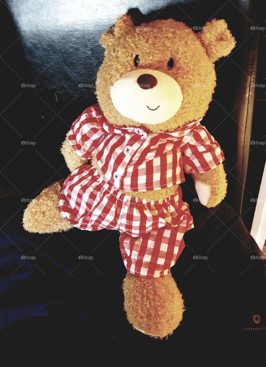Teddy bear