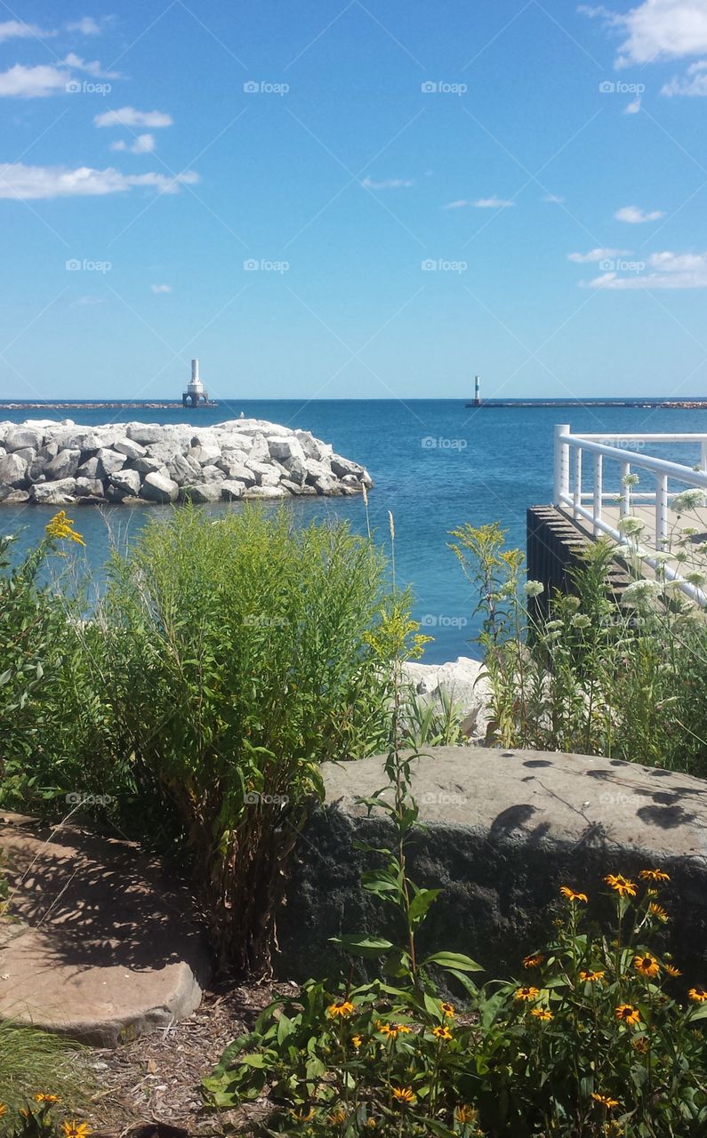 A Day by the Lake. Glorious Summer Day