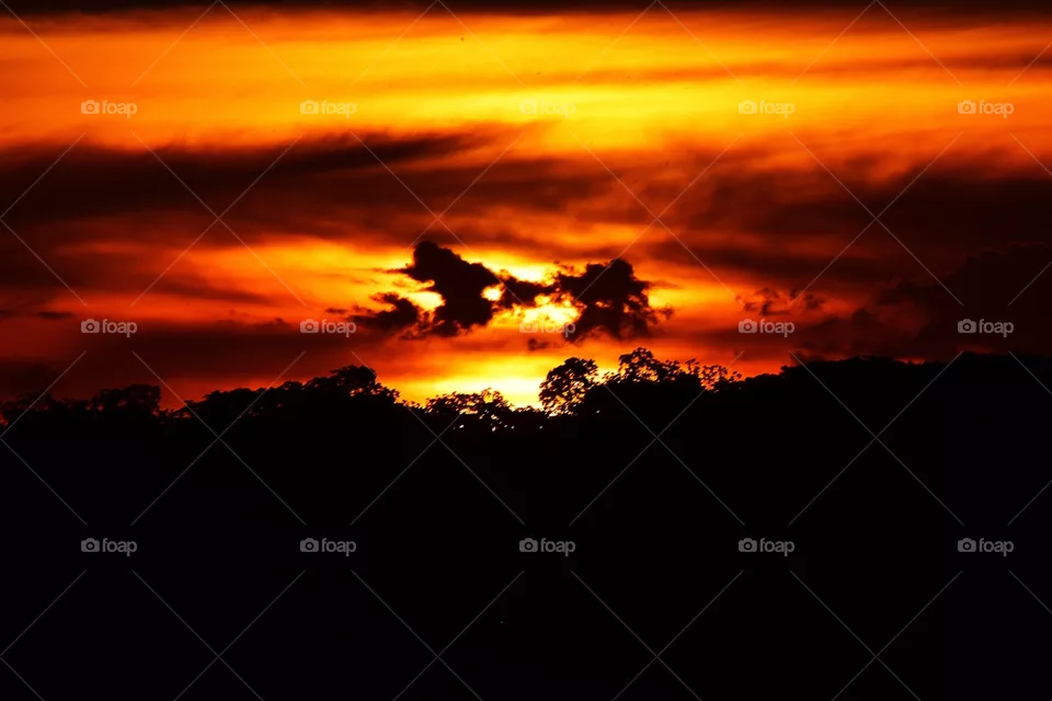 sunset