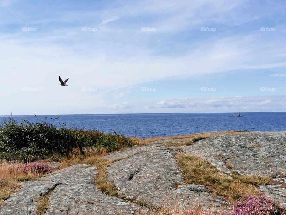 Seaview from the cliffs