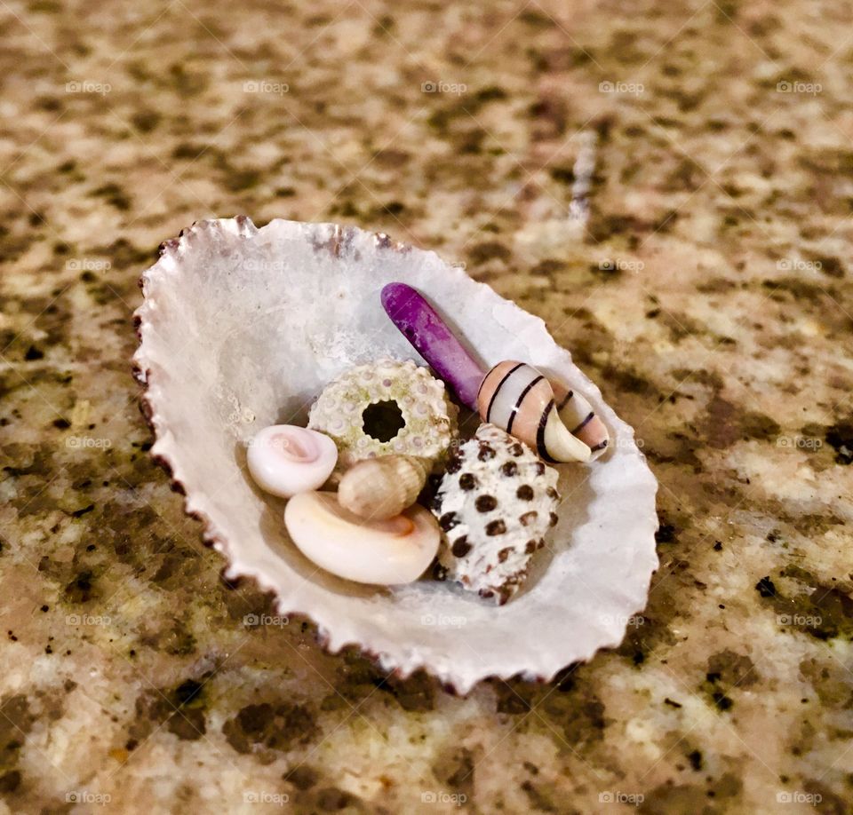 A "sea shell bowl" to hold our tiny sea shells and things we collected in Kona, Hawaii!