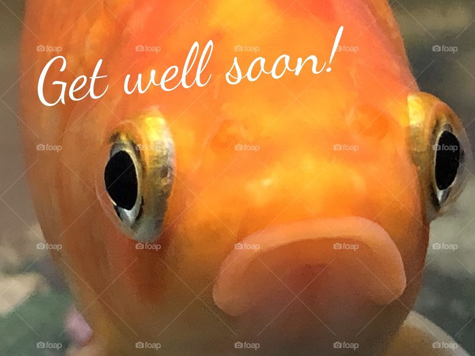 Get well soon