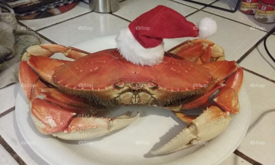 Santa Claws... It's what's for dinner.