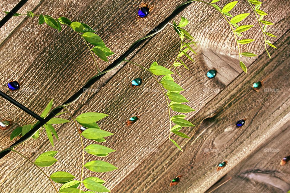 Marbles in the fence.