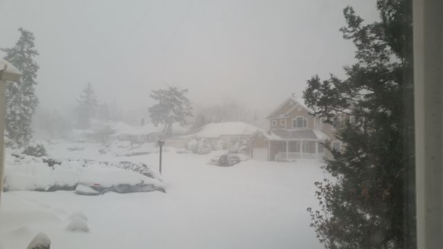 Snow, Winter, Cold, Fog, Frost