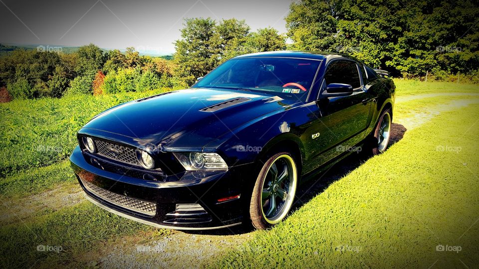 Mustang Fever