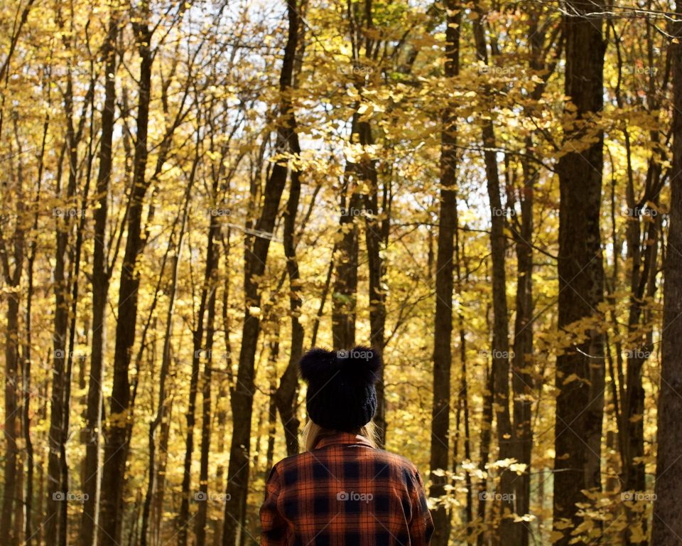 Oh the golden leaves of Autumn; Woman in flannel in front of trees with turning leaves