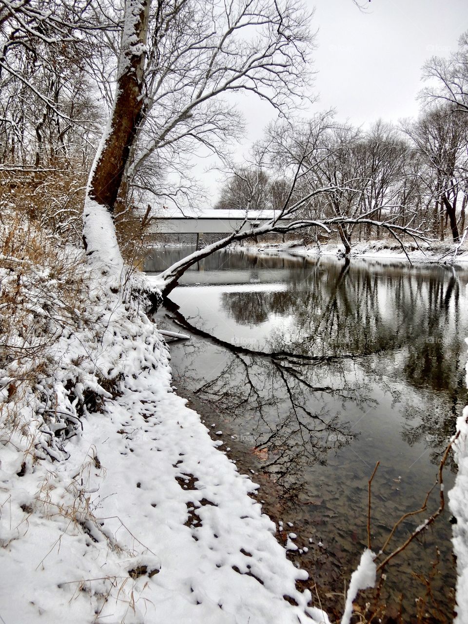 Snowy down on the white river in Indiana and the old covered bridge with some snow 