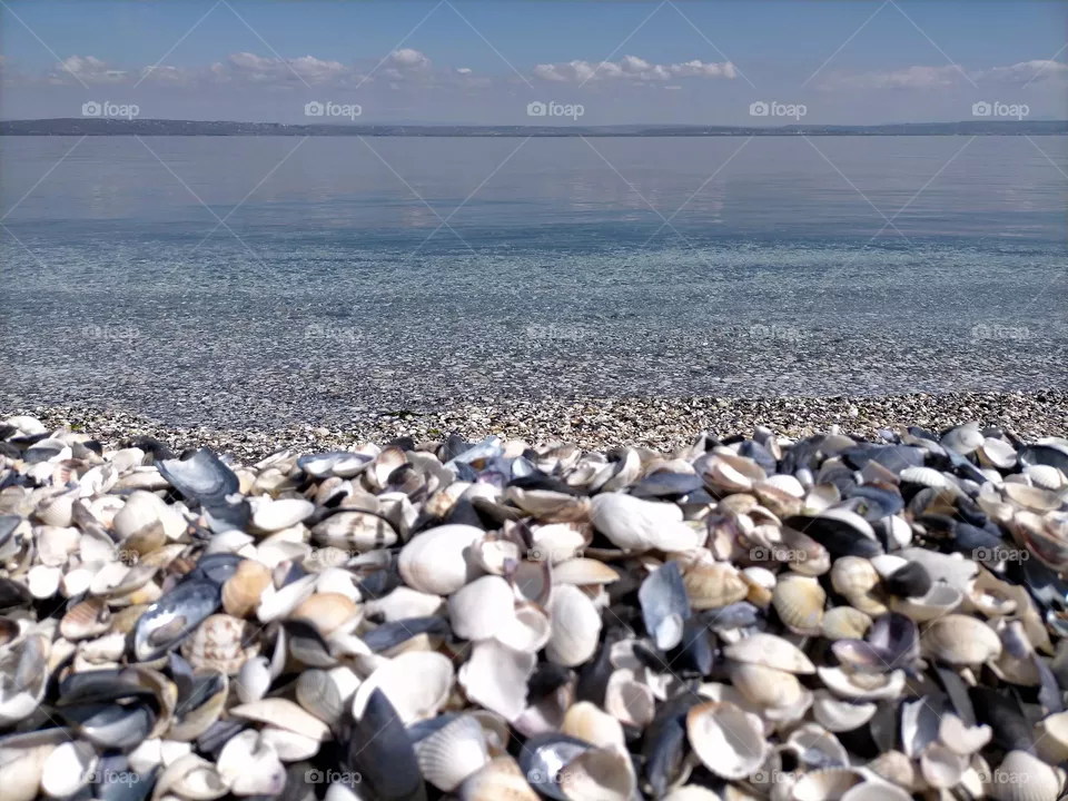 La plage de coquillages