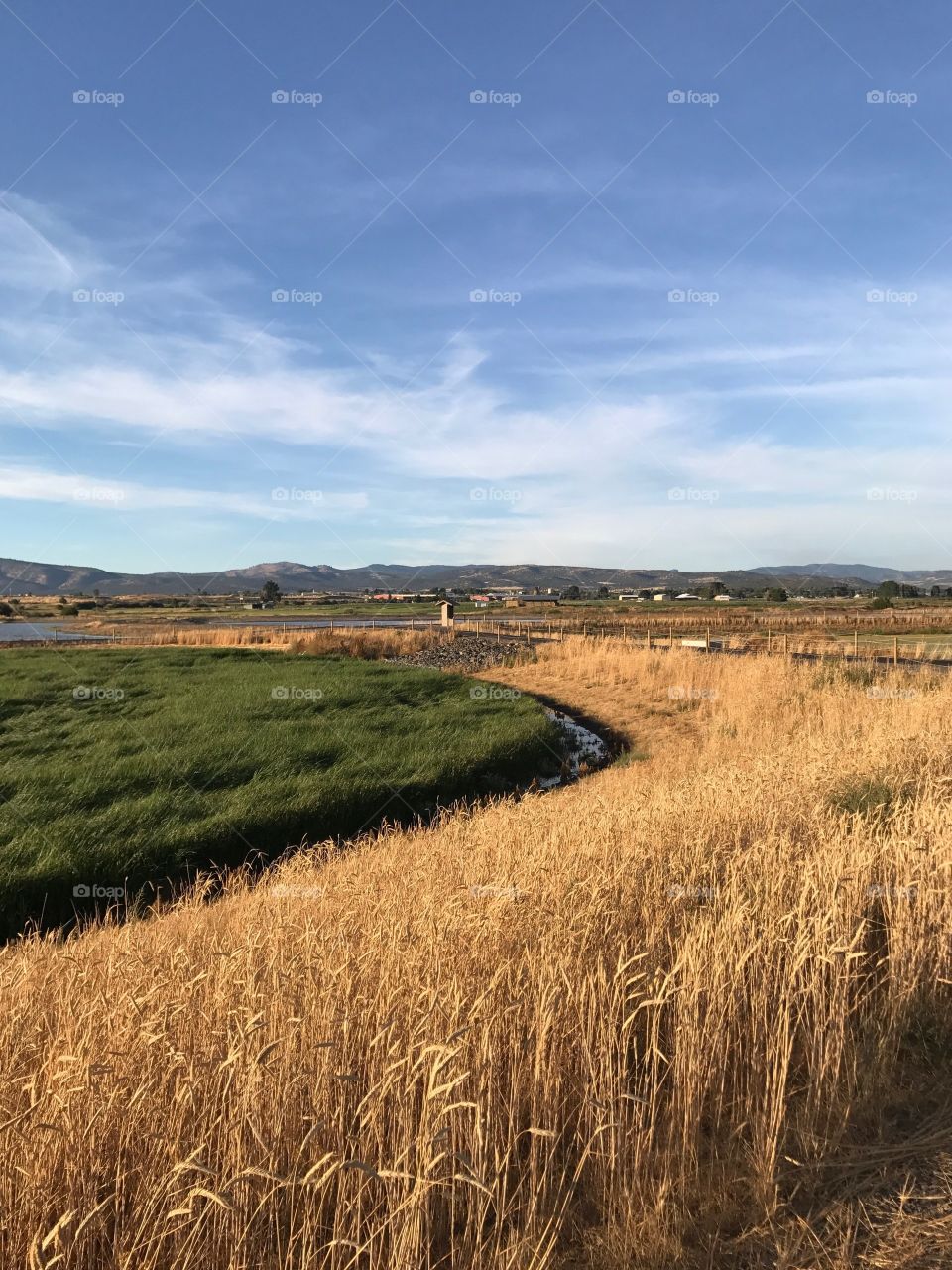 Golden evening light falls upon the Crooked River Wetlands outside of Prineville in in Central Oregon on a pleasant fall day.