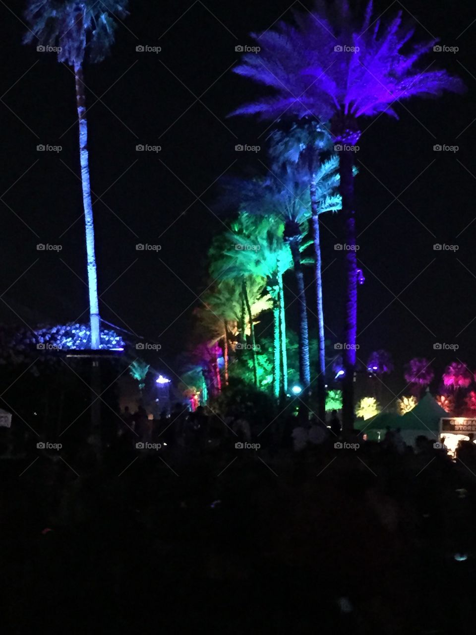 Electric Nights 3. Electric Nights - Coachella 2015