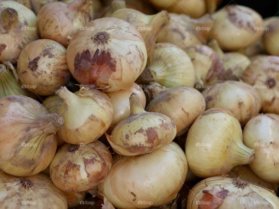 Onions organic market
