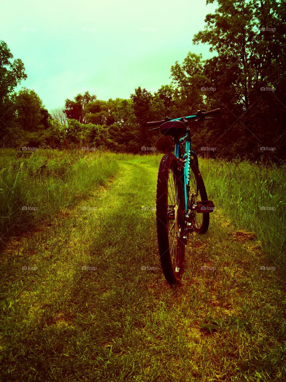 Bike on nature trail