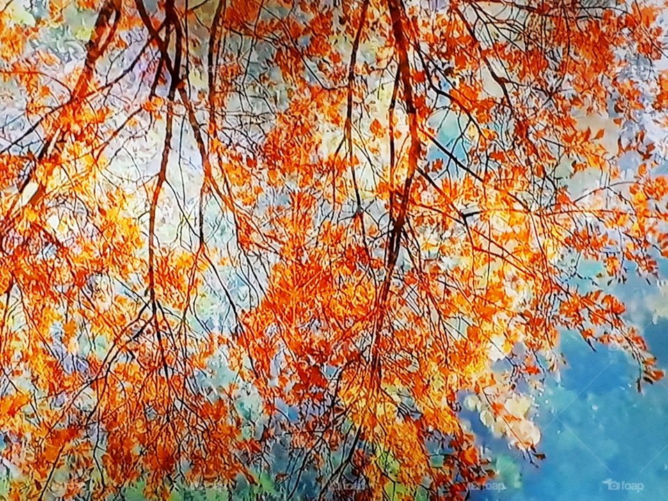 Branch with yellow leaves