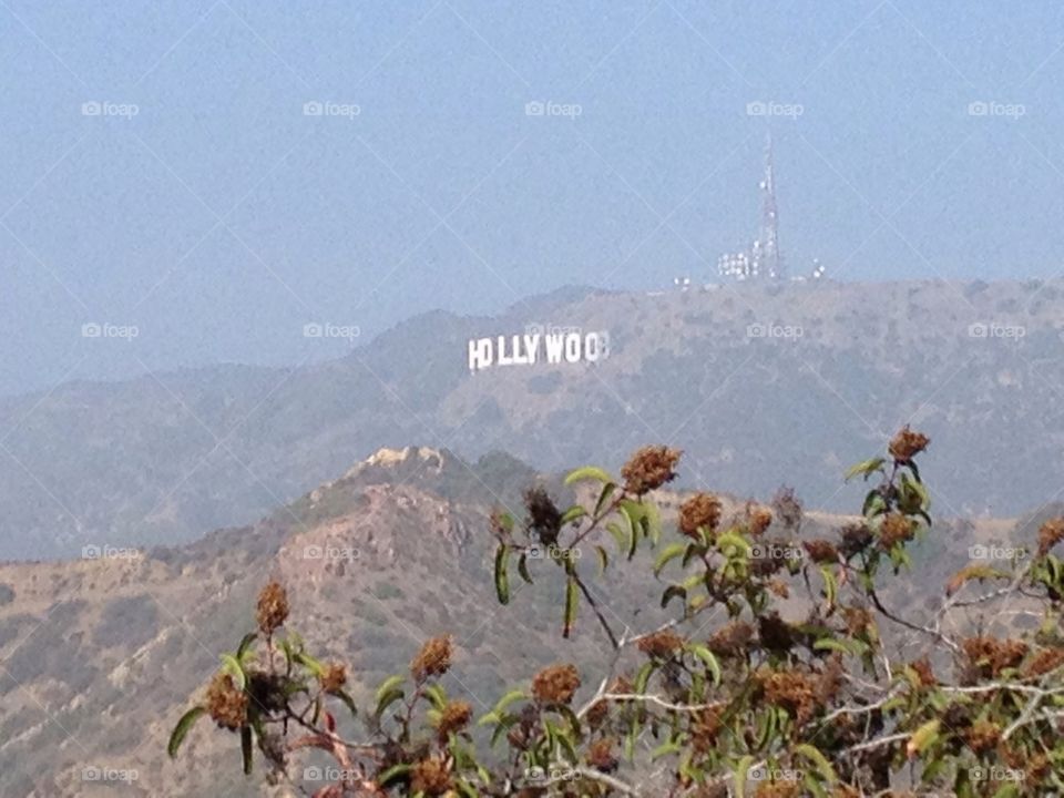 Hollywood sign