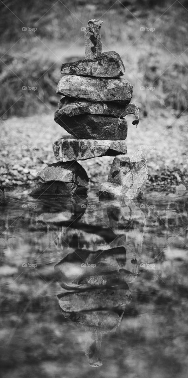 Reflections in the summer creek