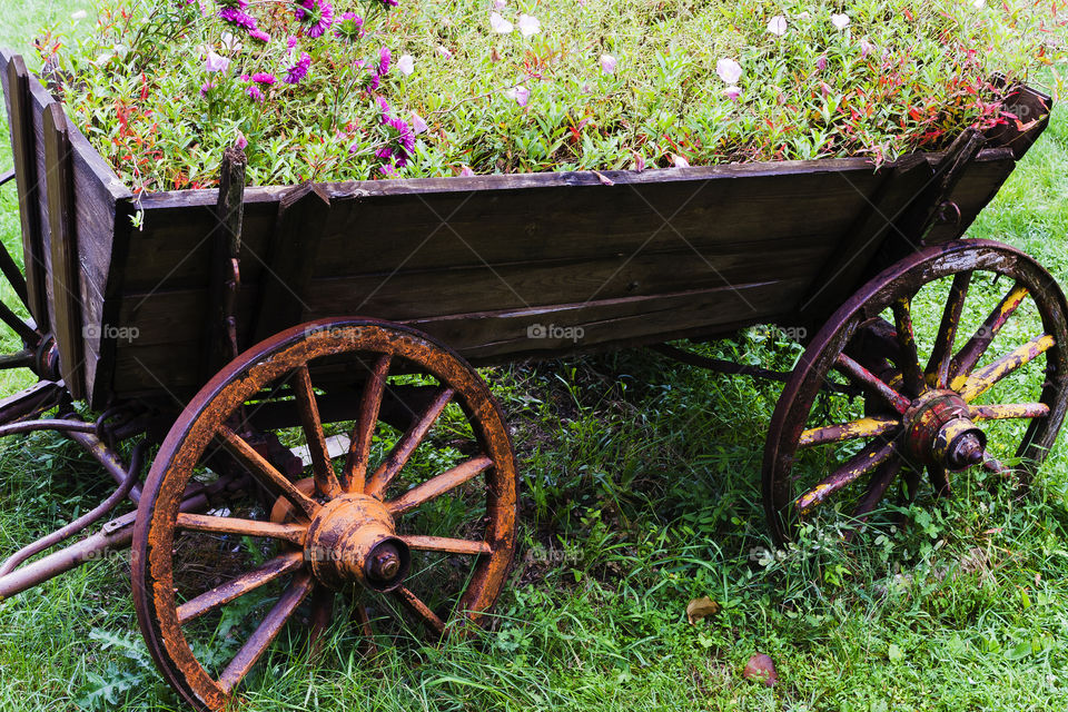 Cart - pot of flowers