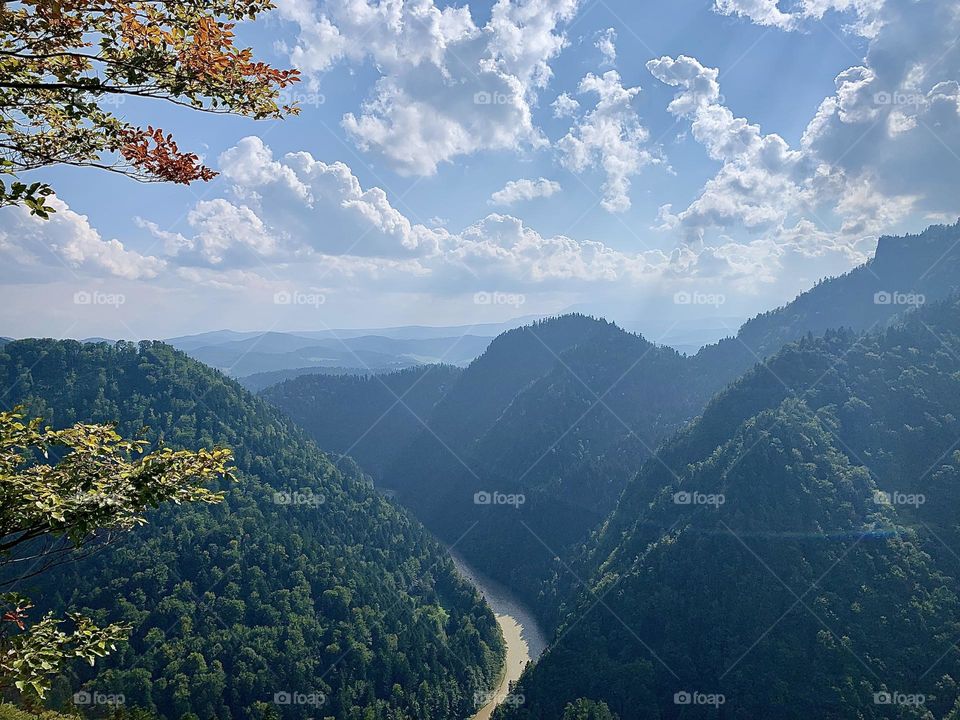 Discover the beauty of nature