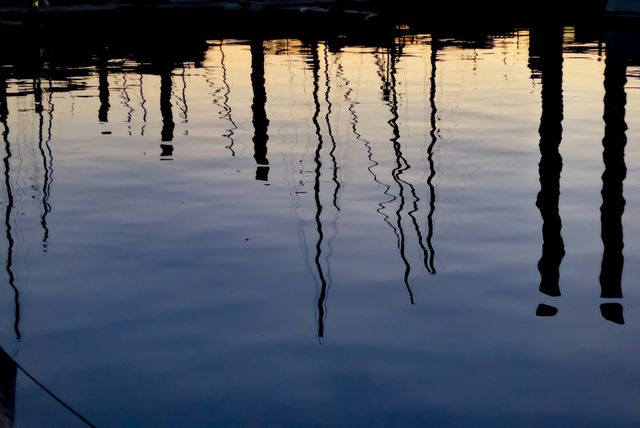 Reflection 