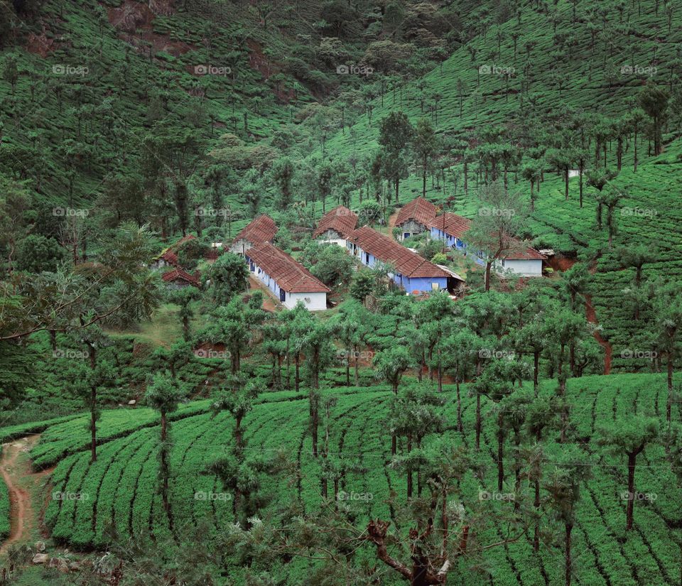 Nature is loved by what is best in us....🍃