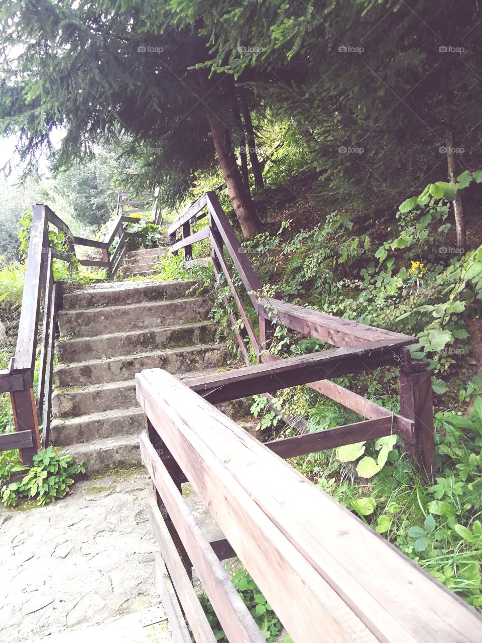 Stairways to forest! 😍