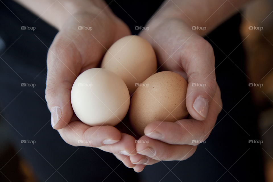 Holding eggs
