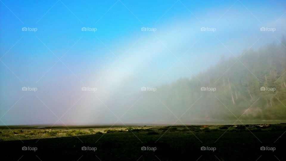 Foggy Rainbow