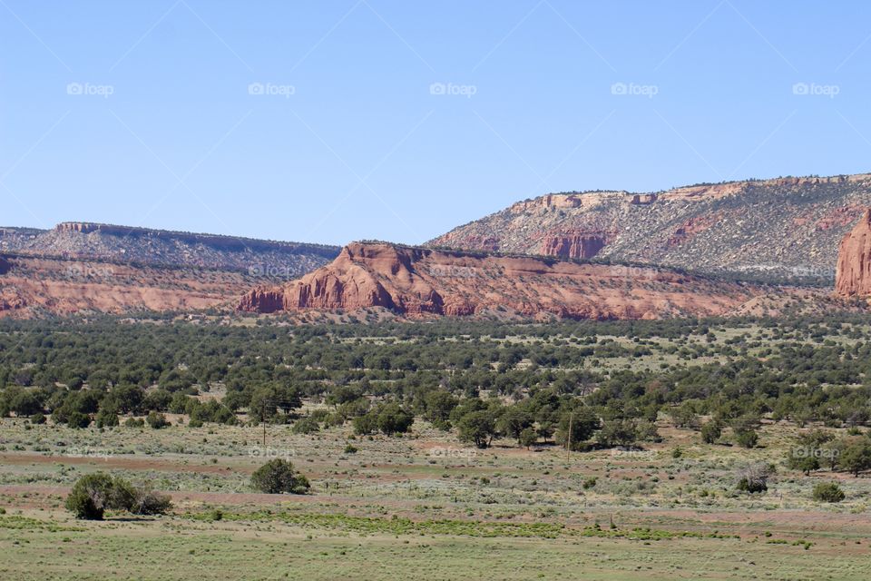 Western New Mexico 1