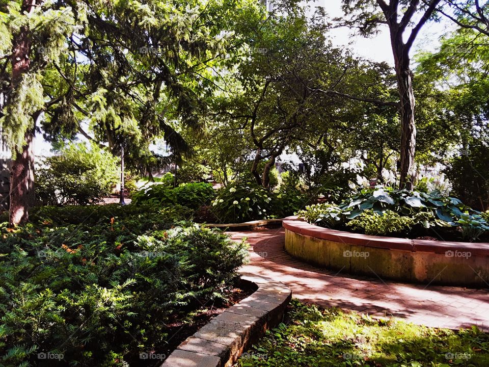 hidden jungle in the city