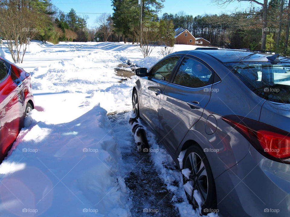 Winter, Snow, Vehicle, Car, Ice