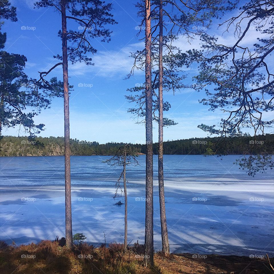 A pause in today's run to enjoy this 