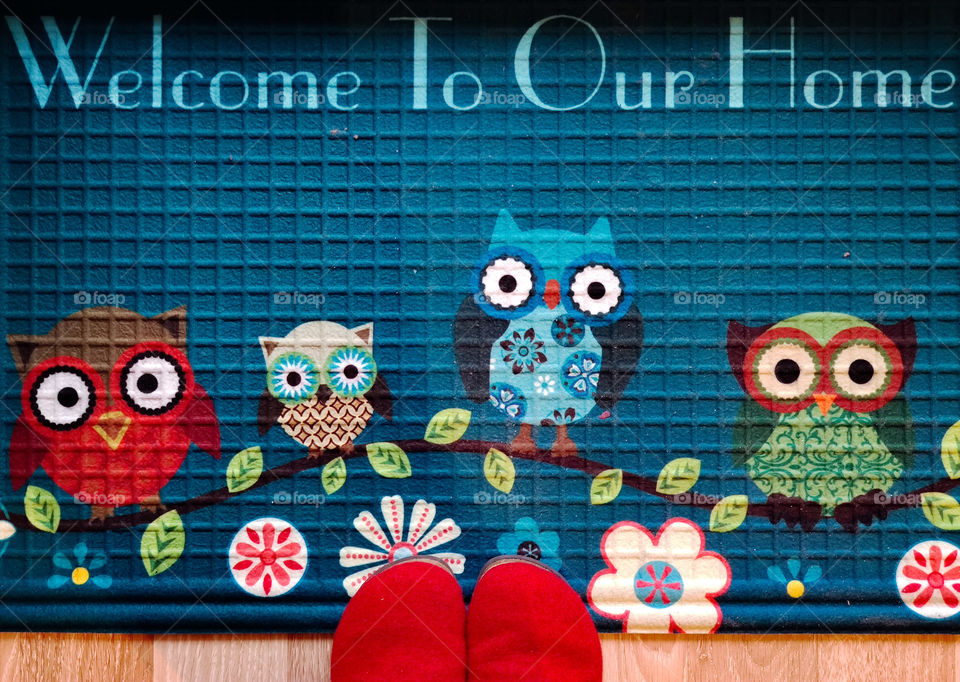 Welcoming four owls