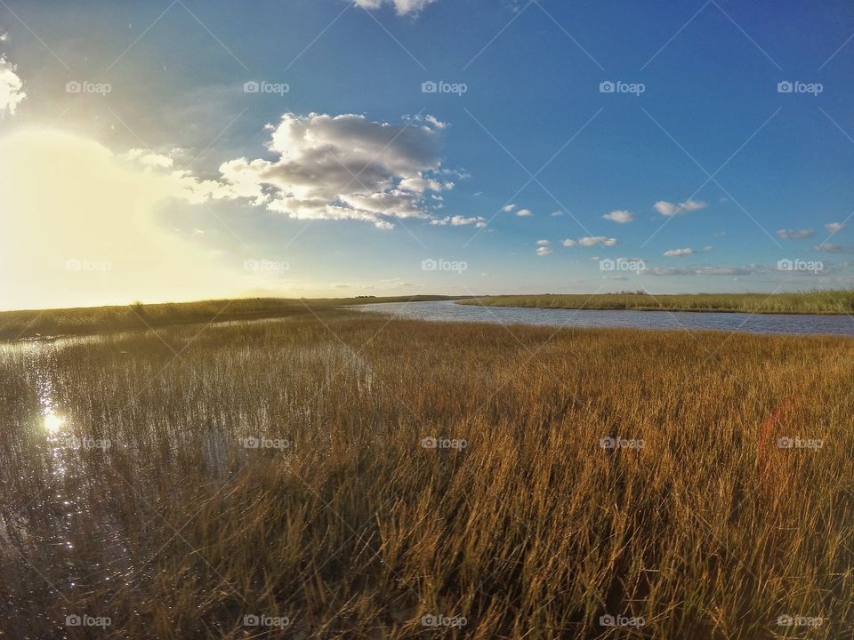 sun rise from the Everglades