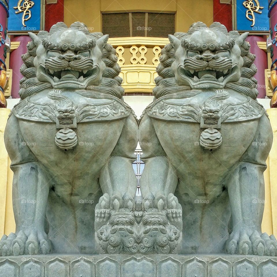 Ancient Lions