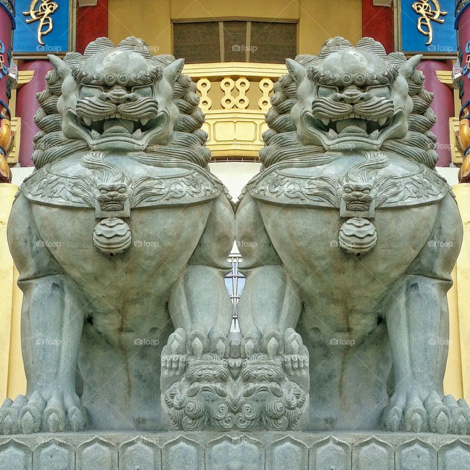Ancient Lions