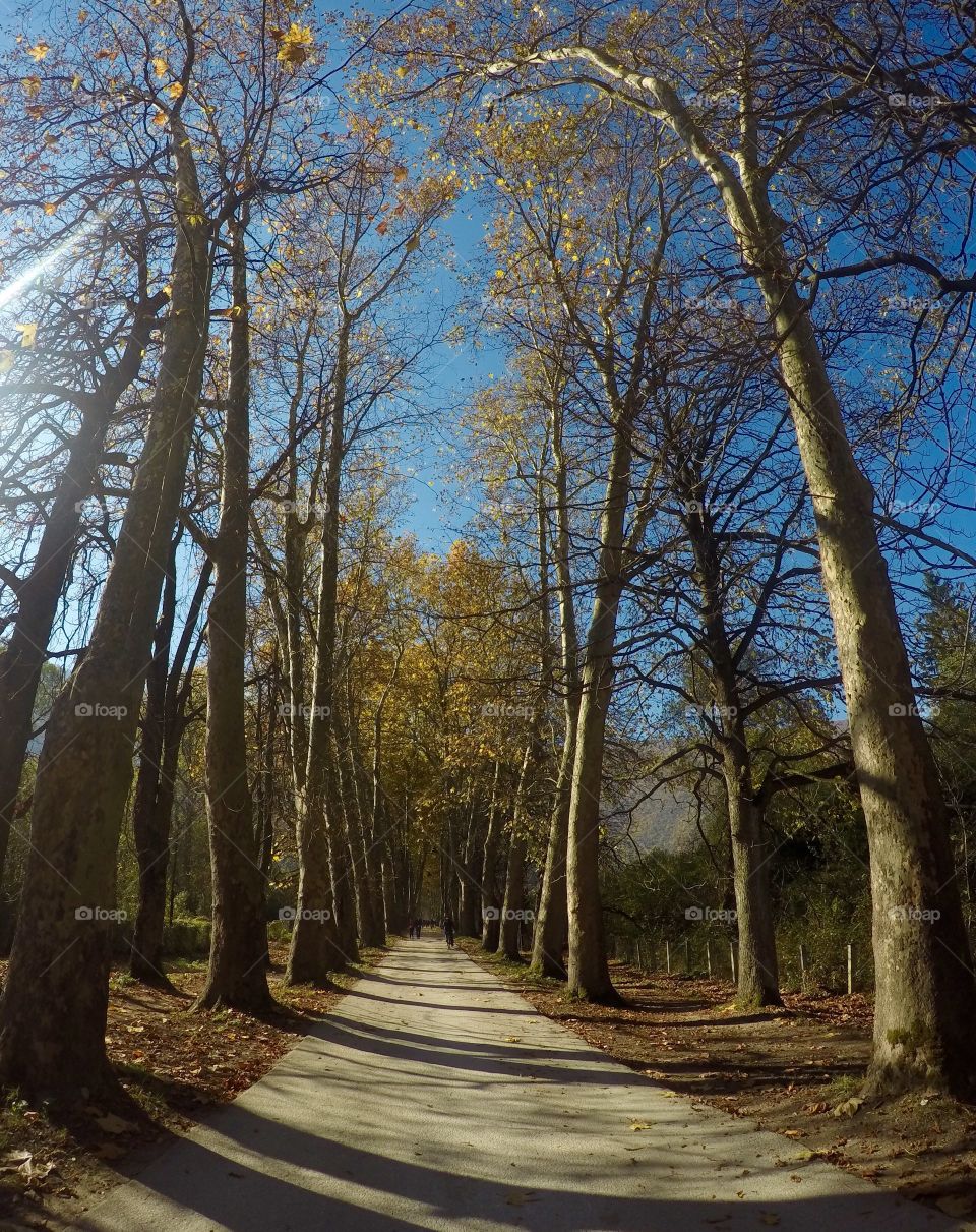 Alley in Sarajevo, great place to get rest from city jam...

Sorounded with forest