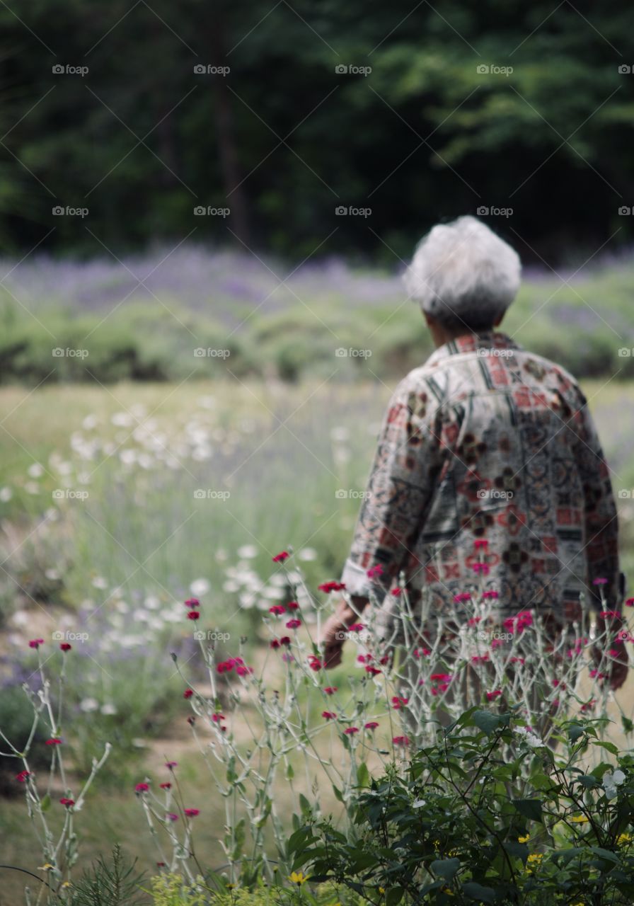 Taking a stroll through the garden 