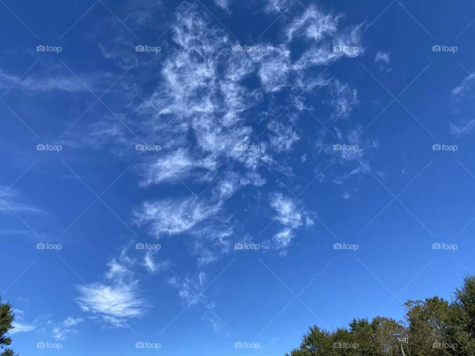 A beautiful day 