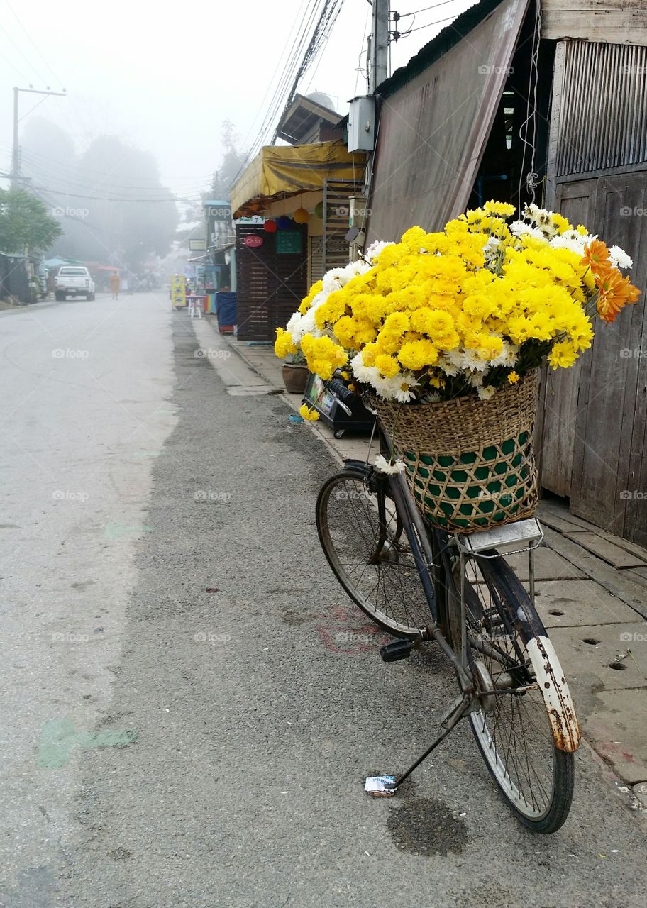 Yellow flower.. Yellow flower on bicycle in winter Pai Thailand.